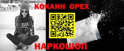 шишки Аргун