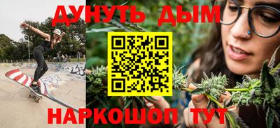 шишки Аргун