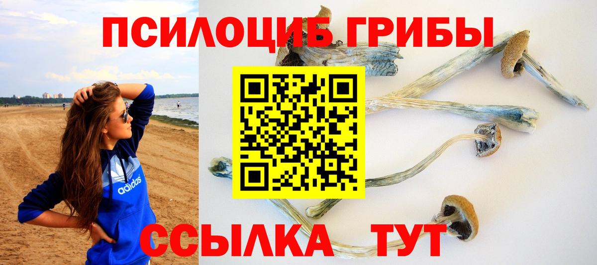 Вязьма  Псилоцибиновые грибы ЛСД  дарнет шоп  Галлюциногенные грибы MAGIC MUSHROOMS  Вход с VPN 