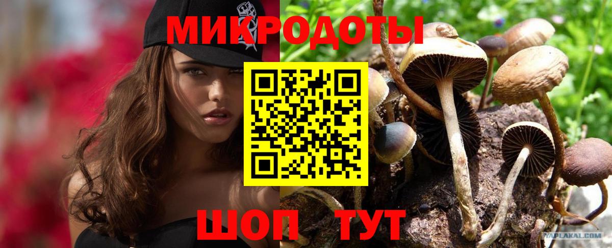 Псилоцибиновые грибы мицелий Вязьма